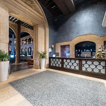Hotell Castilla Termal El Burgo De Osma