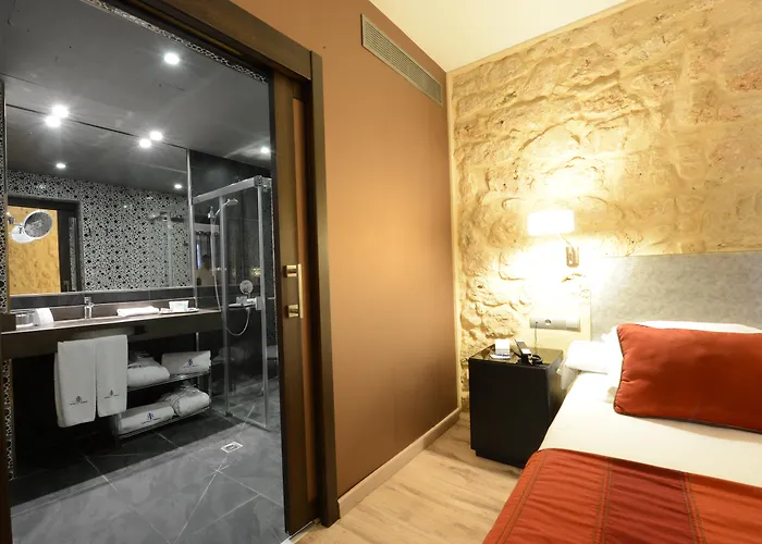 Castilla Termal 4* El Burgo De Osma